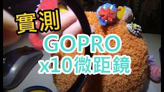 GOPRO濾鏡組-x10微距鏡使用效果參考