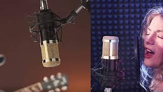 Neewer NW-700 VS BM-800 Microphone : Can I Try Once from here?