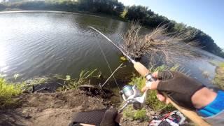 Zip Baits Orbit 110 Shimano Scorpion!