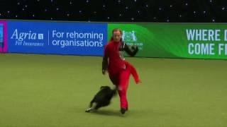 Crufts 2017 : Lucka Plevová & Jump