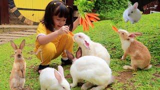 Lets Feeding Rabbits and Milk the Cows | Learn to Know Cute Animals for Kids