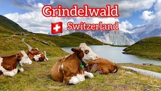 Grindelwald Svizzera  un posto meraviglioso da visitare, heaven on earth  | 4K