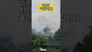 60대 일상｜미숭산자연휴양림｜백세공주 #브이로그 #5060 #행복한 노후