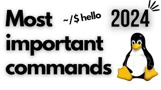 15 most important Linux commands that you need to know in 2024