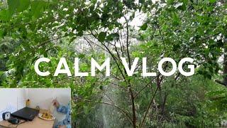 AESTHETIC CALM VLOG | RAINYDAY VLOG | SIDDHEE SINGH | RELAX WEEKEND VLOG | A DAY IN MY LIFE