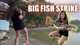 Cewek Cantik Mancing Ikan Monster di Big Fish Strike Saung Desa