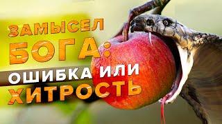 Замысел Бога: ошибка - или хитрость? | Мог ли Бог ошибаться?