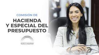 En vivo | Comisión de Hacienda y Especial del Presupuesto.