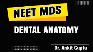 NEET MDS series | Dental Anatomy by Dr. Ankit Gupta