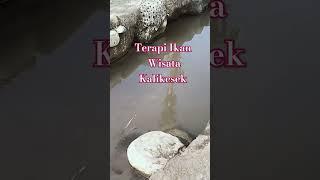 #kontenkreator #vlogger #treveling #wisata #kalikesek #terapiikan #wisataalam #konten #creator #vlog