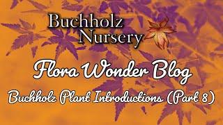 Flora Wonder | Buchholz Plant Introductions (Part 8)