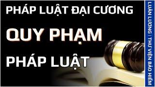 Bài giảng Pháp luật đại cương | Quy phạm pháp luật là gì?