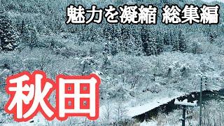 【秋田観光・総集編】リピーターによる絶対おすすめ　秋田県の魅力・見どころ徹底紹介