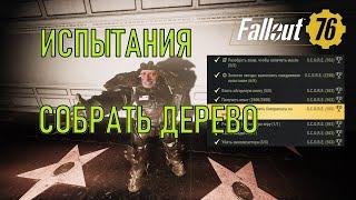 Fallout 76 Собрать дерево