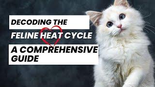 Decoding the Feline Heat Cycle: A Comprehensive Guide