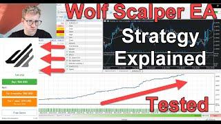 Testing The Wolf Scalper EA! Is It Really This Good And How Does It Work? MT5 Expert Advisor Review