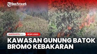 Kawasan Gunung Batok Bromo Kebakaran Lagi