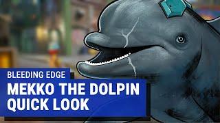 Bleeding Edge - Mekko the Dolphin Gameplay Quick Look