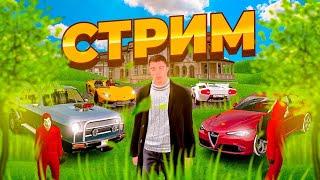  HAMSTER CRMP | ИЩЕМ БАГИ | #shorts #radmir #shortslive #radmir #владбумага  #cat