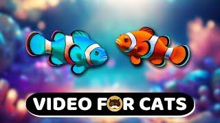 CAT GAMES - Clownfish. Fish Videos for Cats | CAT TV | 1 Hour.