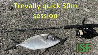 Trevally new favourite soft plastic!