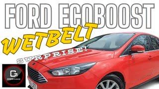 We got a BIG surprise when we saw this 10yr old Ford Ecoboosts Cambelt!