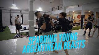 Sparring Young Argentinian BEASTS (Breakdown)