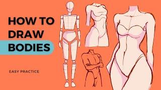 EASY Anatomy Approach for Digital Artists