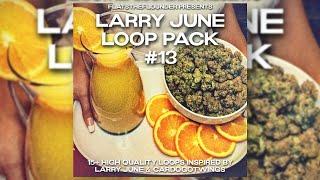 [FREE] Larry June Loop Pack #13 | 15 Loops Inspired by Larry June & Cardo + 8 Drum Loops