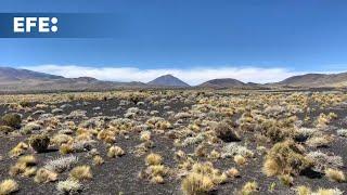 Malargüe, la tierra de los volcanes que es capital del turismo sostenible en Argentina