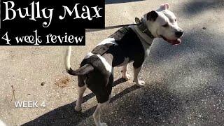 Bully Max 4 Week Review and Results