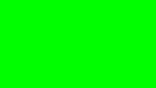 Blank Green Screen (720p)
