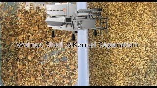 Walnuts Shell & Kernel Separation Machine (Belt Type Infrared Sorter)