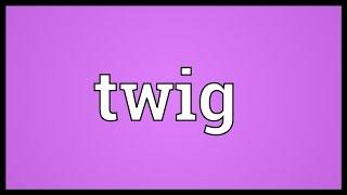 Twig Meaning