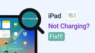 How to Fix iPad Not Charging 2022  (iPadOS 16 Supported)