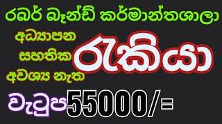 # 2025 jobs |  job vacancies | abarthu | Rakiya |  රැකියා  ඇබෑර්තු 2025 | New jobs 2024,jobs,