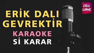 ERİK DALI GEVREKTİR Karaoke Altyapı Türküler - Si