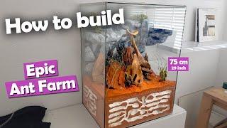 How to Build an *EPIC* Ant Farm | DIY Formicarium