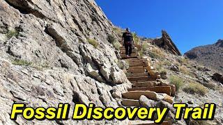 Fossil Discovery Trail: Dinosaur National Monument