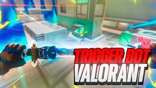 BEST! Valorant TriggerBot (Undetected External 2024) Free ? | ¿AIMB0T? | Drako.NET