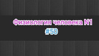 Физиология крови. Гемоглобин. Виды. Кислородное ёмкость крови.