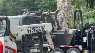 We removed tall dead trees with a 45 ton crane in Raleigh NC | Kenny's Tree Removal & Triangle Crane