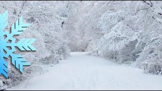 С первым снегом, драгоценные мои!!!