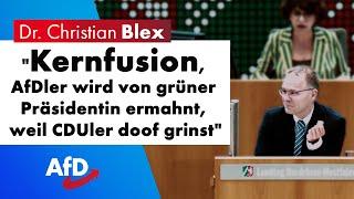 "Kernfusion, AfDler wird von grüner Präsidentin ermahnt, weil CDUler doof grinst"