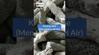 REKOMENDASI MEDIA FILTER AKUARIUM AIR TAWAR MURAH