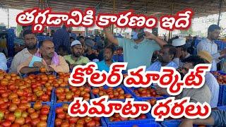 8 December 2024 Kolar CMR tomato market rates/Today tomato price / Kolar tomato market rates