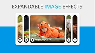 Expandable Image Effect Using HTML / CSS / JQUERY - Amazing Image Gallery Effect