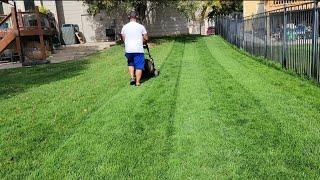 First Mow After Overseed!