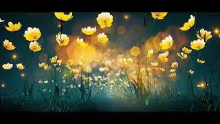 Walking in the fantasy yellow flowers magic garden loop video Background