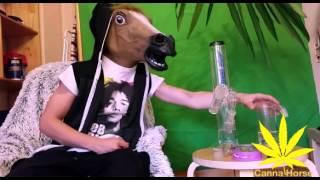 Horse smokes a WeedStar fat joe bong with two WeedStar precoolers to early in the morning!